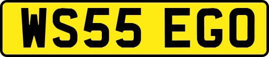 WS55EGO