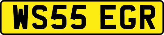 WS55EGR