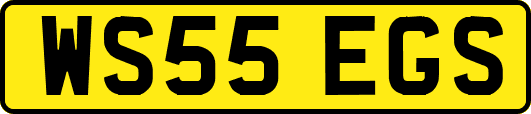 WS55EGS