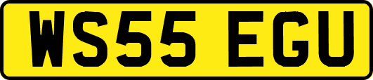 WS55EGU