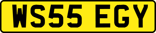 WS55EGY