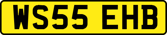 WS55EHB