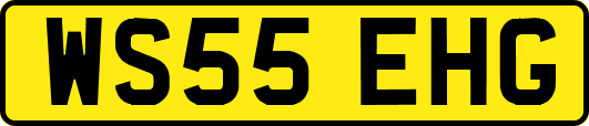 WS55EHG