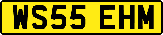 WS55EHM