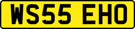 WS55EHO