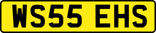 WS55EHS