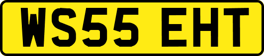 WS55EHT