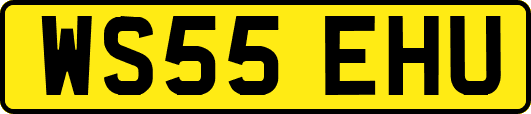WS55EHU