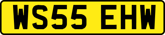 WS55EHW