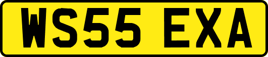 WS55EXA