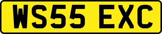 WS55EXC