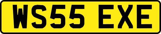 WS55EXE
