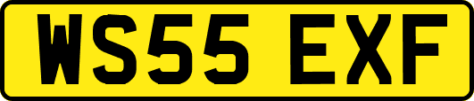WS55EXF
