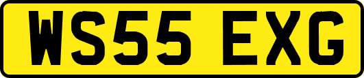 WS55EXG