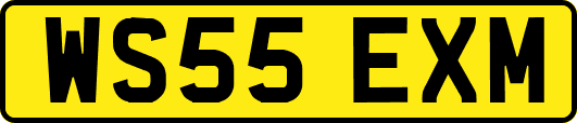 WS55EXM