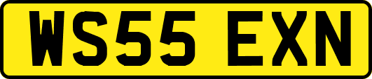WS55EXN