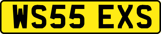 WS55EXS