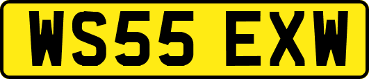 WS55EXW