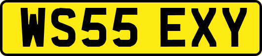 WS55EXY
