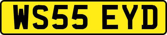 WS55EYD