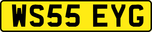 WS55EYG