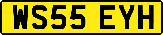 WS55EYH