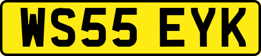 WS55EYK