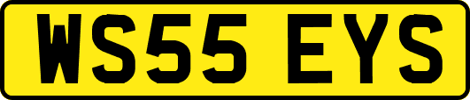 WS55EYS