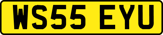WS55EYU
