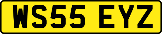 WS55EYZ