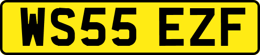 WS55EZF