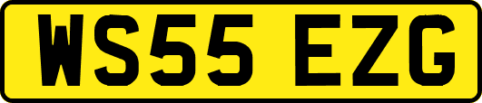 WS55EZG