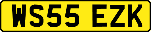 WS55EZK