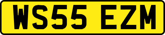 WS55EZM