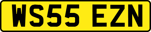 WS55EZN