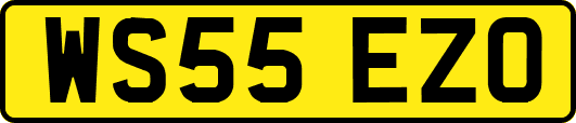 WS55EZO