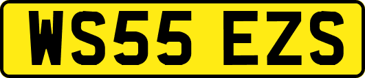WS55EZS