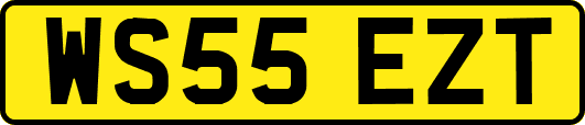 WS55EZT