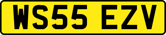 WS55EZV