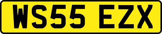 WS55EZX