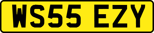 WS55EZY
