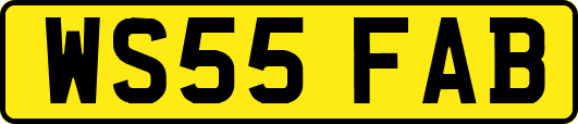 WS55FAB
