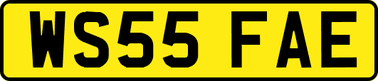 WS55FAE