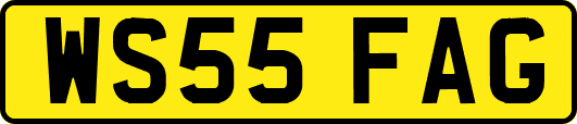 WS55FAG