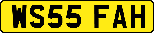 WS55FAH