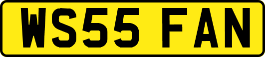 WS55FAN
