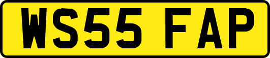 WS55FAP