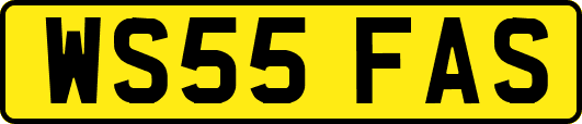 WS55FAS