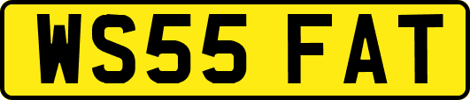 WS55FAT