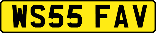 WS55FAV